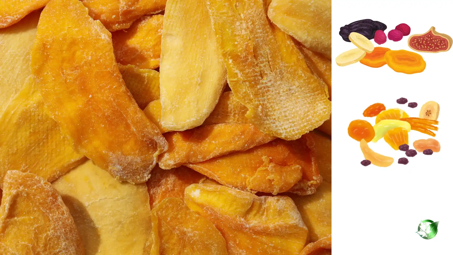 Supplier evaluation for Dried Fruits should cover specification, packaging, supporting records, logistics, and full delivered cost.